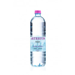 Artesium spring water Still 12 x 0.55 liter